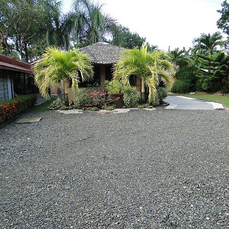 Susan'S Place Bed And Breakfast Puerto Princesa Eksteriør bilde